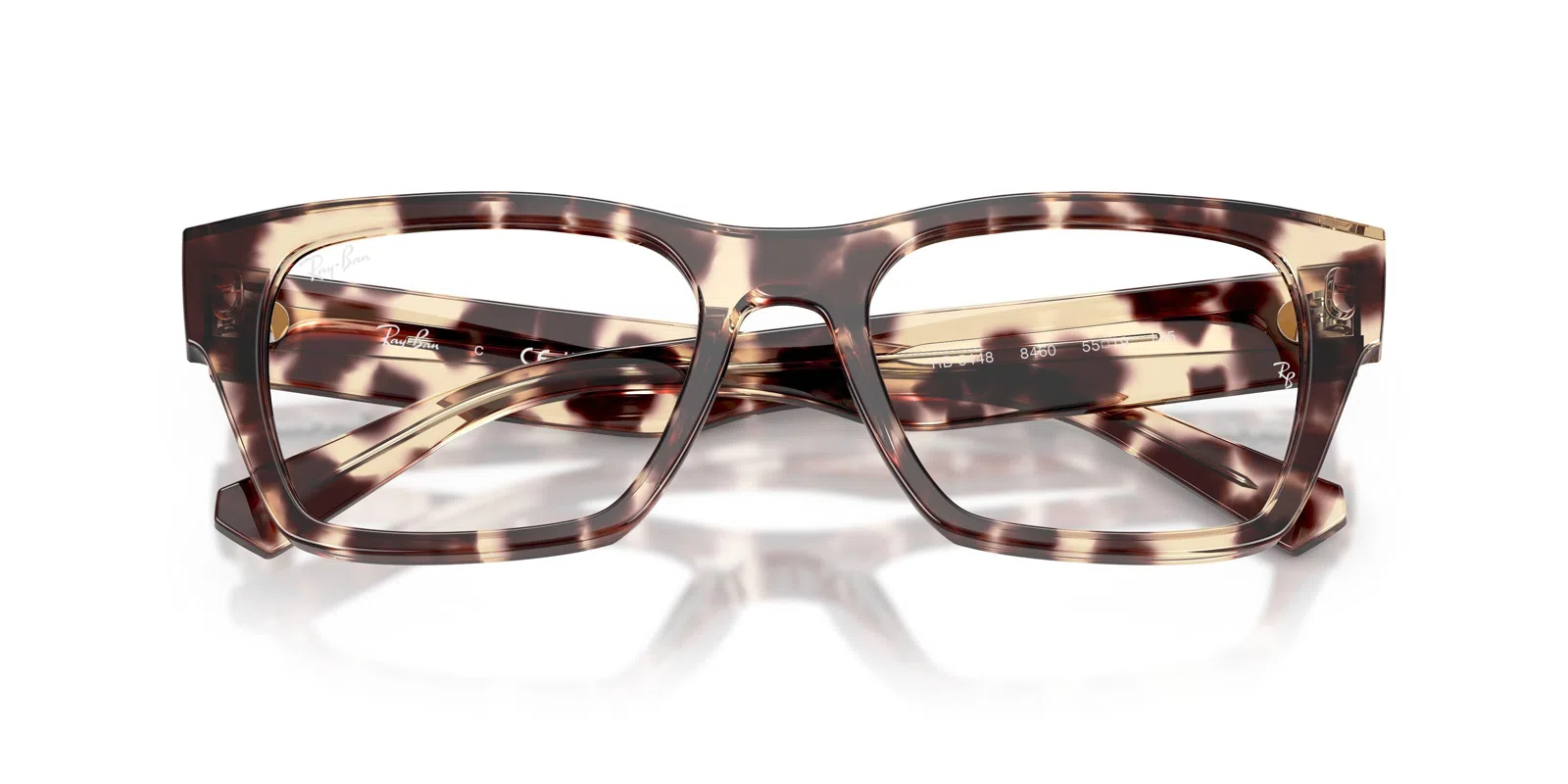 Ray-Ban 5448 Eyeglasses - view 49